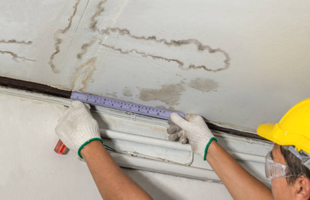 Reliable Mold Remediation contractor in Rochester, NH by Local Water Damage Repair